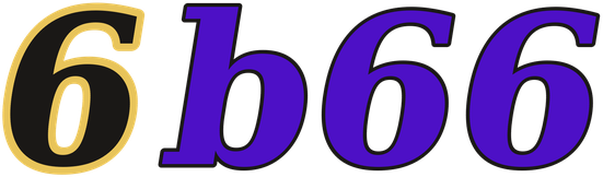 6b66 logo